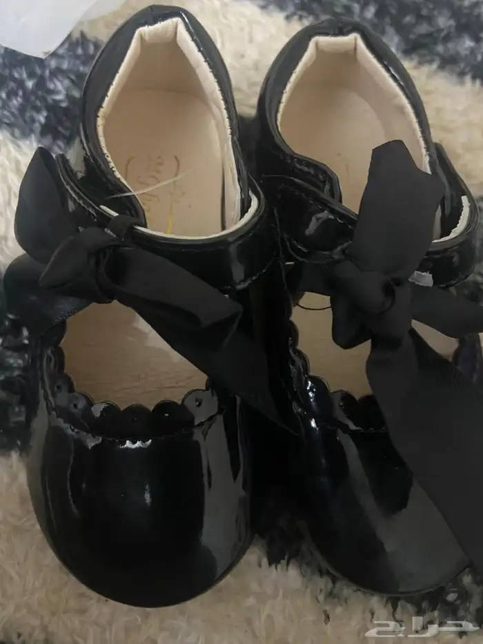 بريده 14