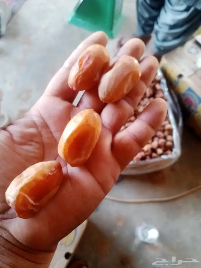 تمور اخلاص فله فاخر 2