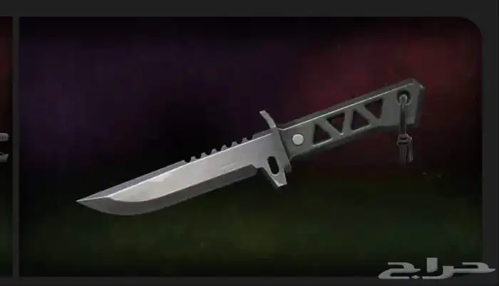 حساب فالورنت للبيع 0
