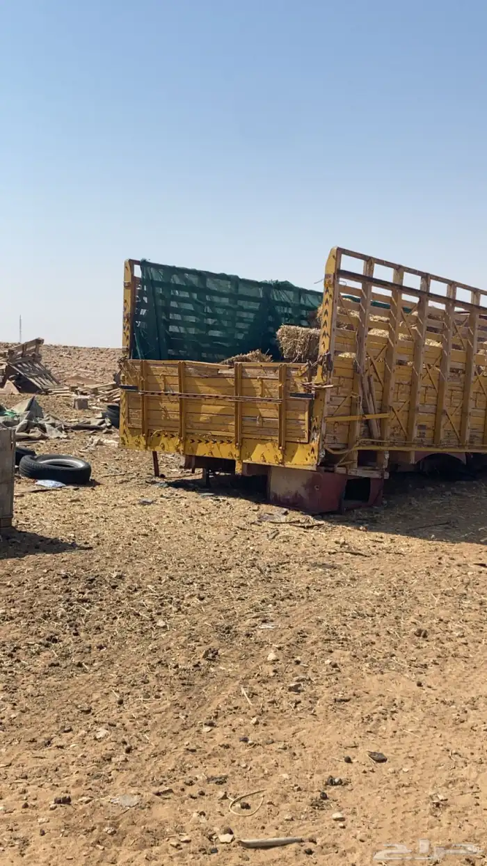 صندوق عايدي 0