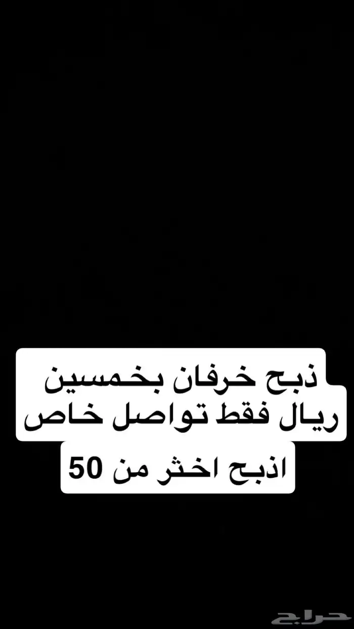 ذبح خرفان ب50ريال 0