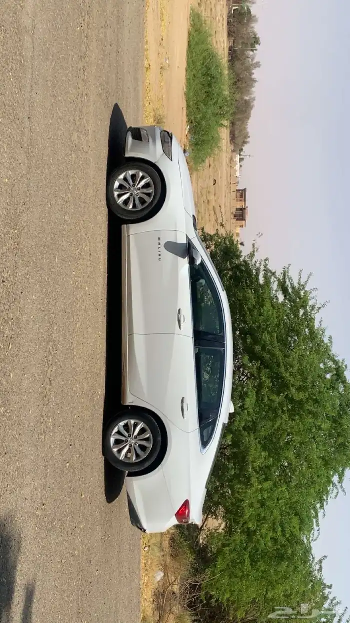 ماليبو 2019 1