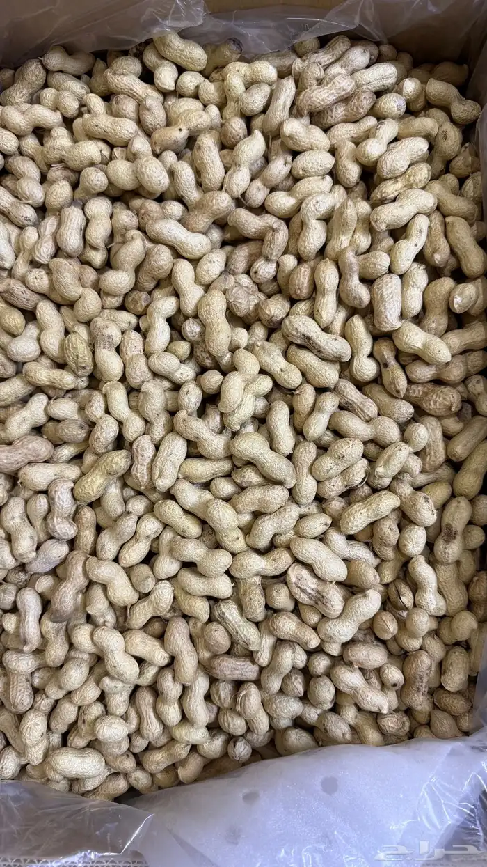 فول سوداني عضوي 1