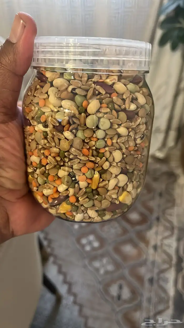 منقوع للطيور 0