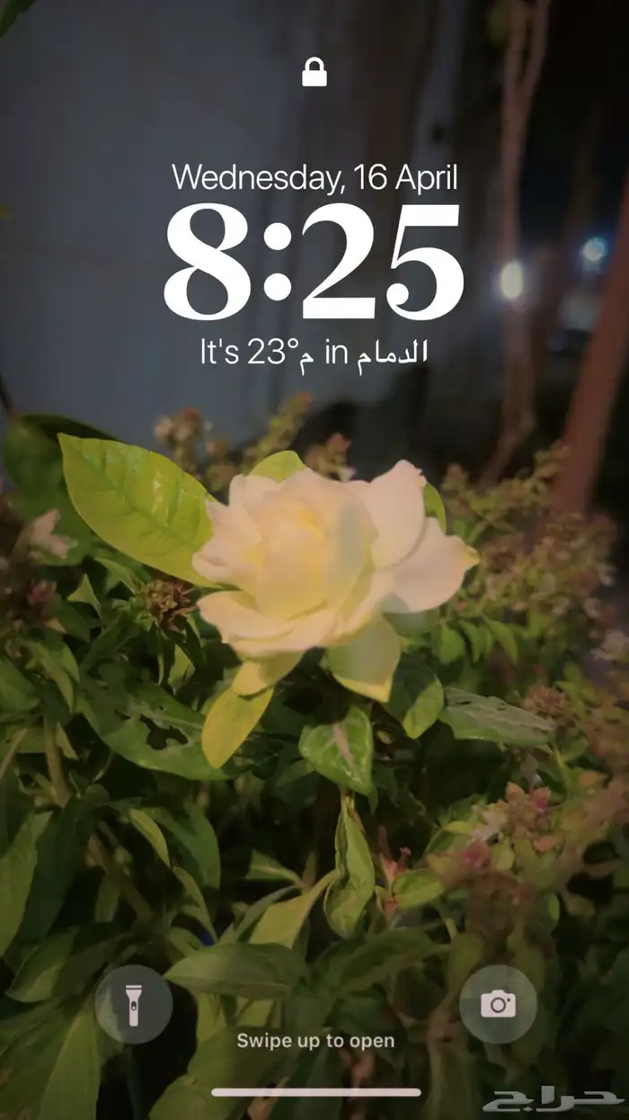 مأذون انكحة - ملكة شرعية 0