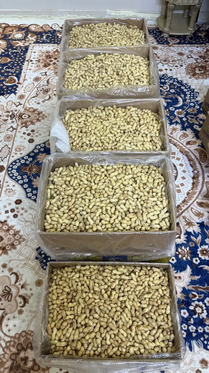فول سوداني عضوي 2