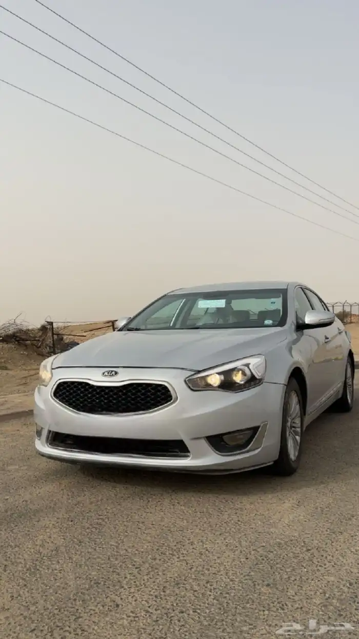 كادينزا 2016 3