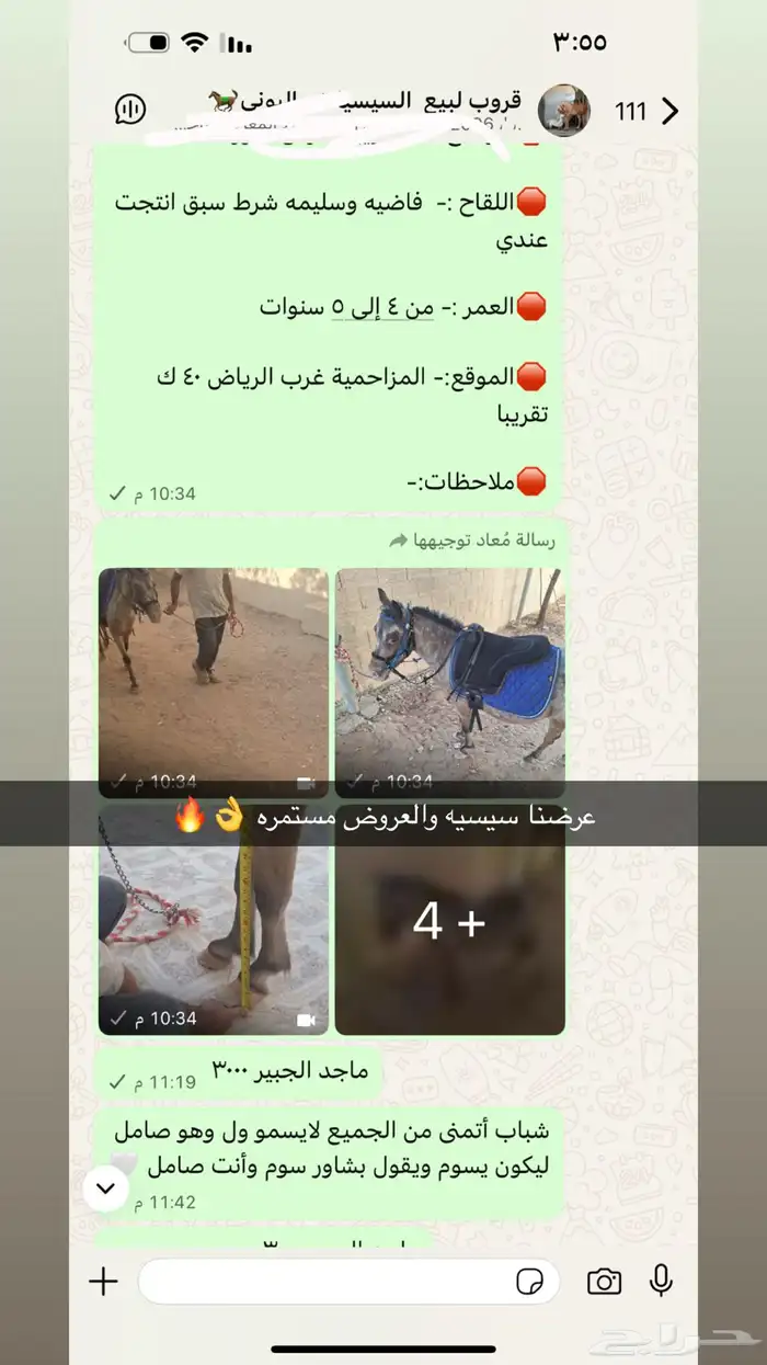 عندنه قروب مخصص للسيسيات والبوني الي حاب يدخل ويشتري يتواصل 0