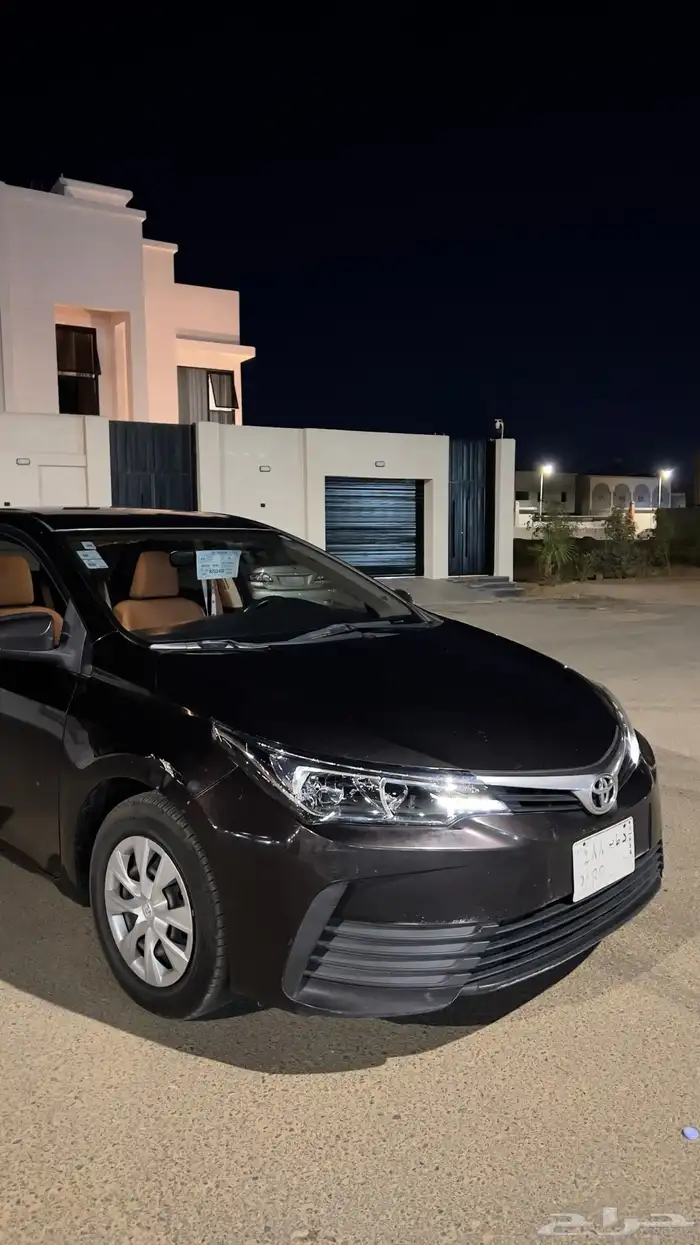 كورلا 2019 بني 1