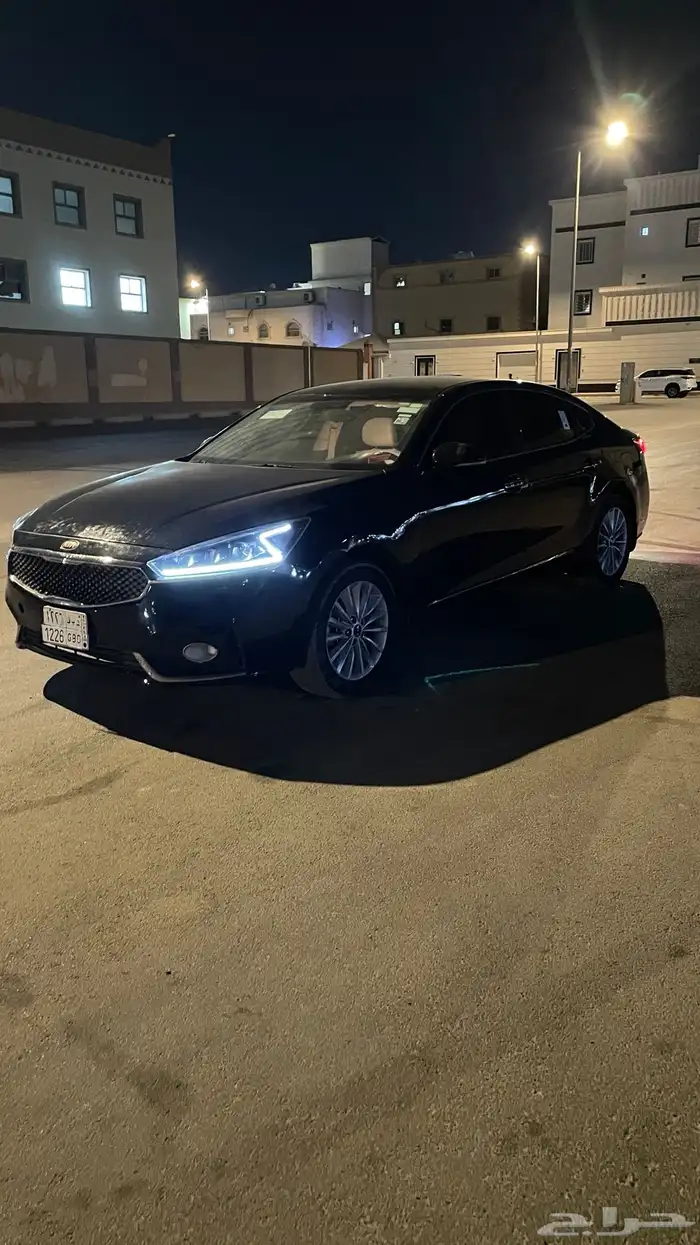 كدنزا 2017 5