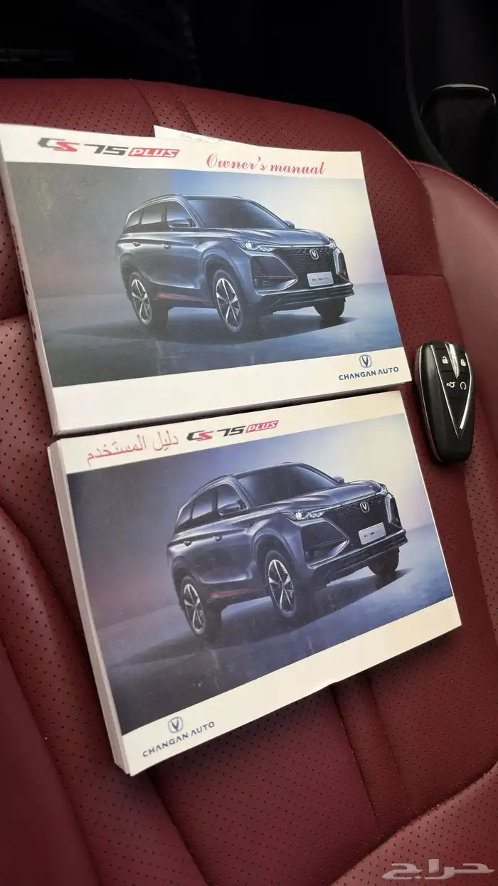 للبيع جيب شانجان CS75 بلس 2023 لون اسمنتي 15