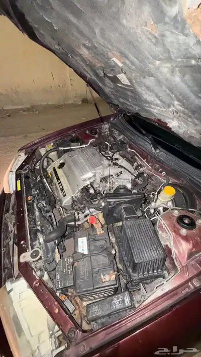 مكسيما 97 index