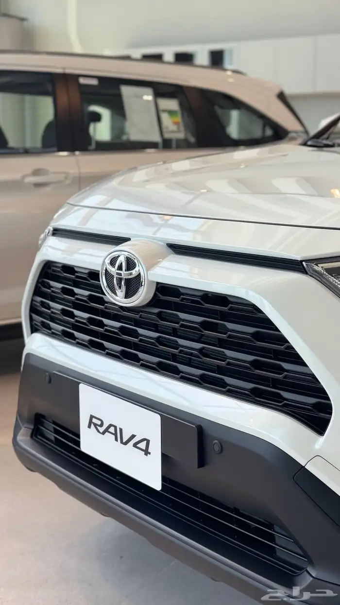 راف فور نص فل 2025 5