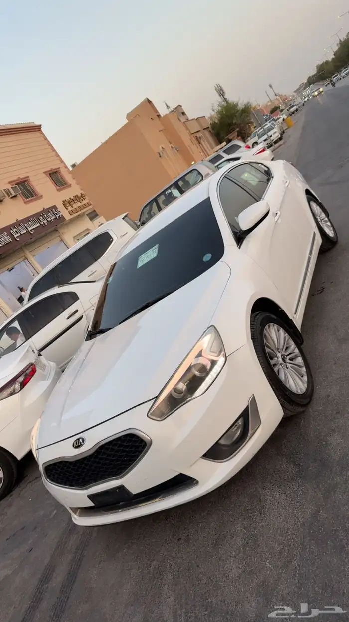كادينزا 2015نضيف 0