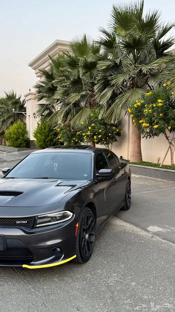 دووج تشالجر ديتوانا 0
