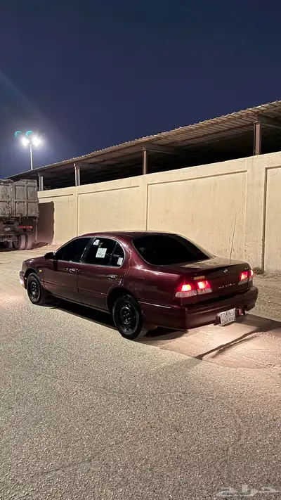 مكسيما 97 index