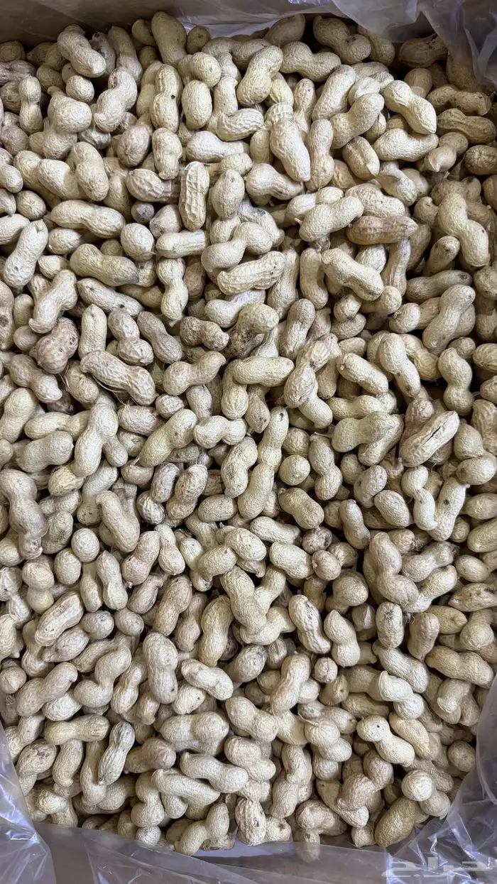 فول سوداني عضوي 0