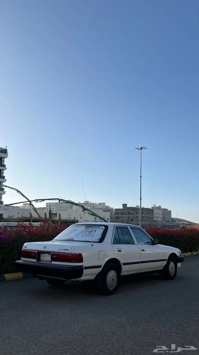كرسيدا للبيع 20