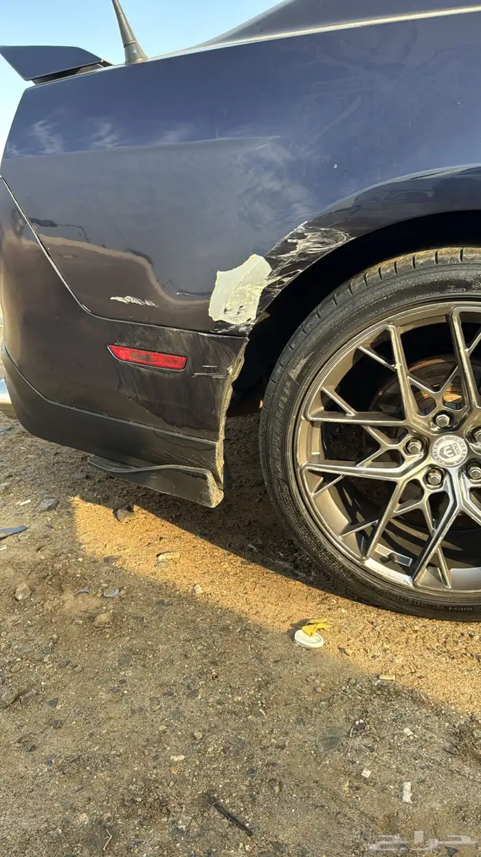 موستنج 5.0 11