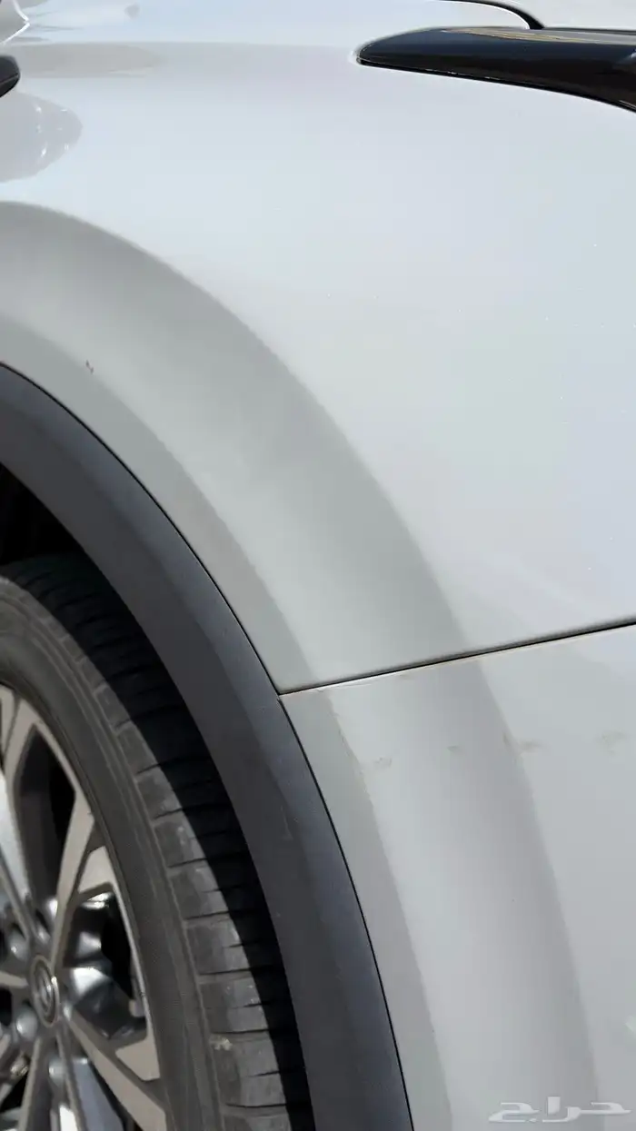 للبيع جيب شانجان CS75 بلس 2023 لون اسمنتي 12
