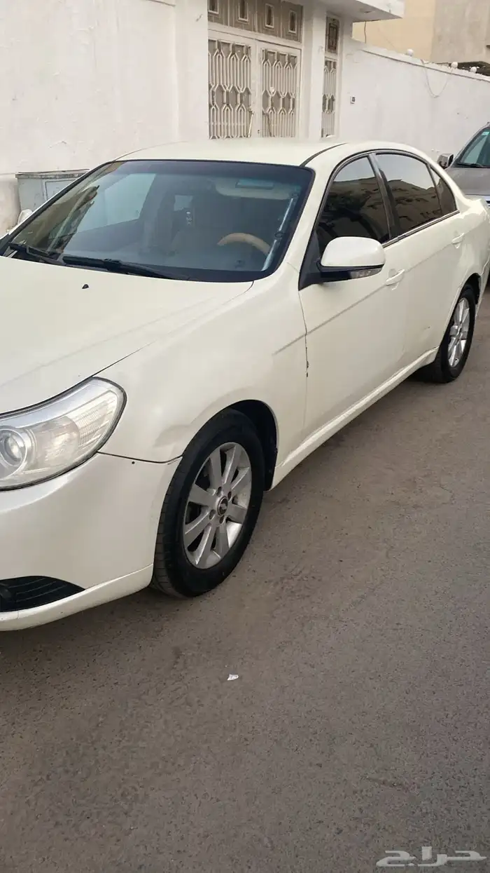ابيكاء 2011 6