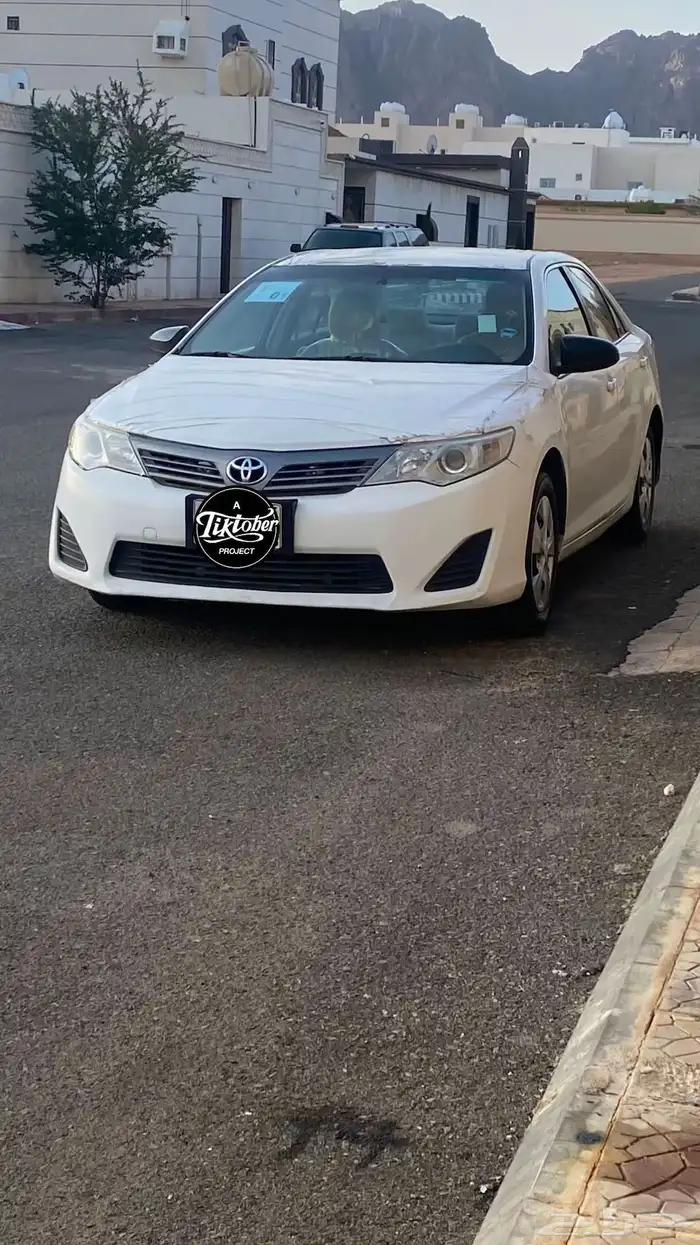 صدام امامي 0