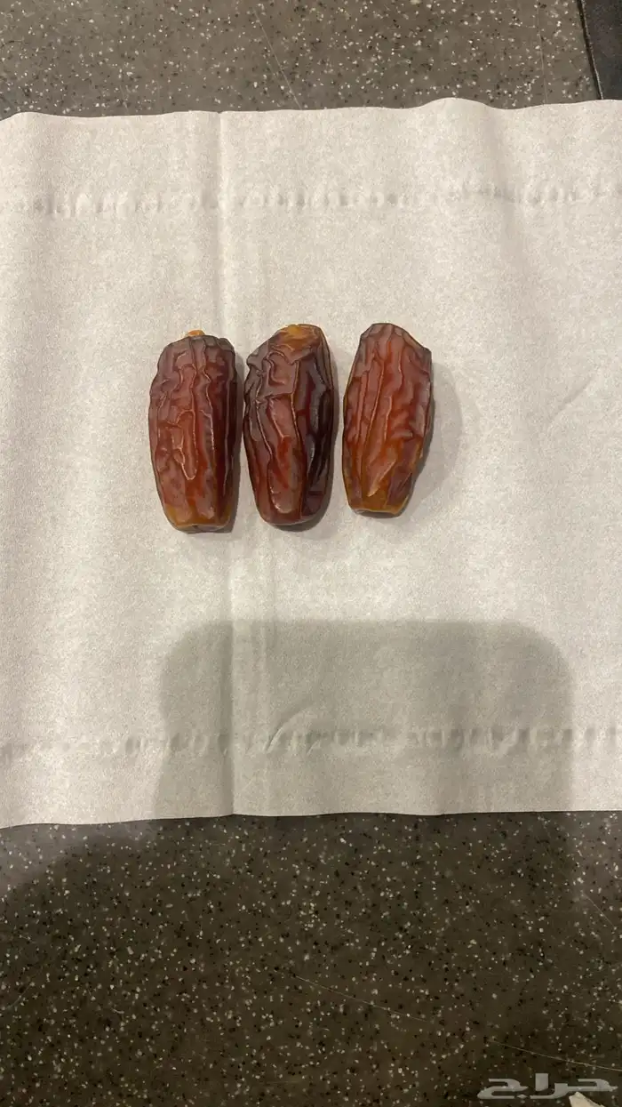 محصول مزرعة تمر برني العلا 0