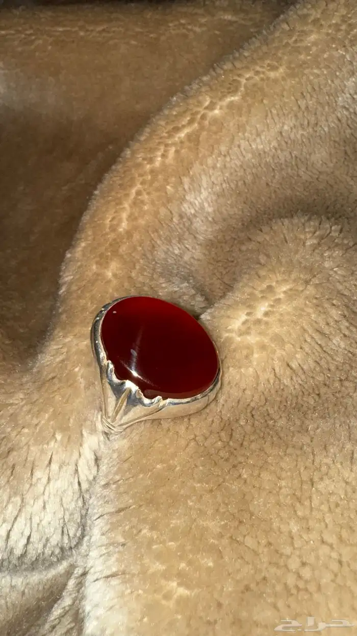 الناصرة 0
