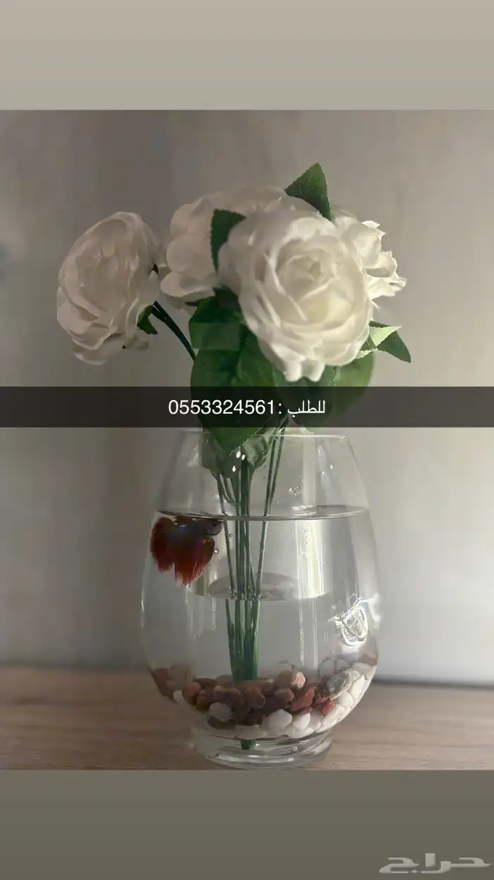 هدايا 0