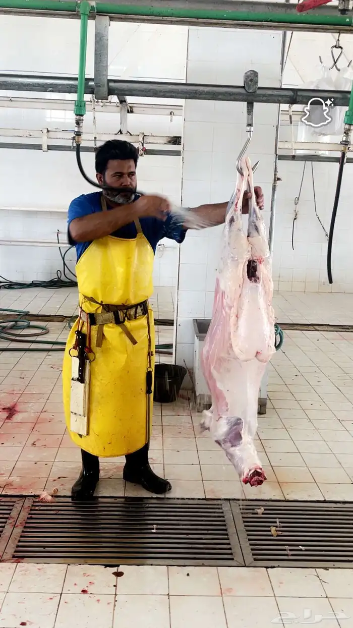 ذبايح 0