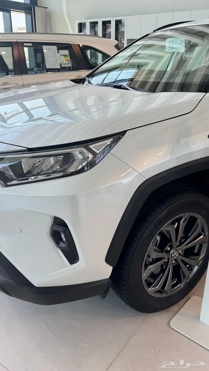 راف فور نص فل 2025 4