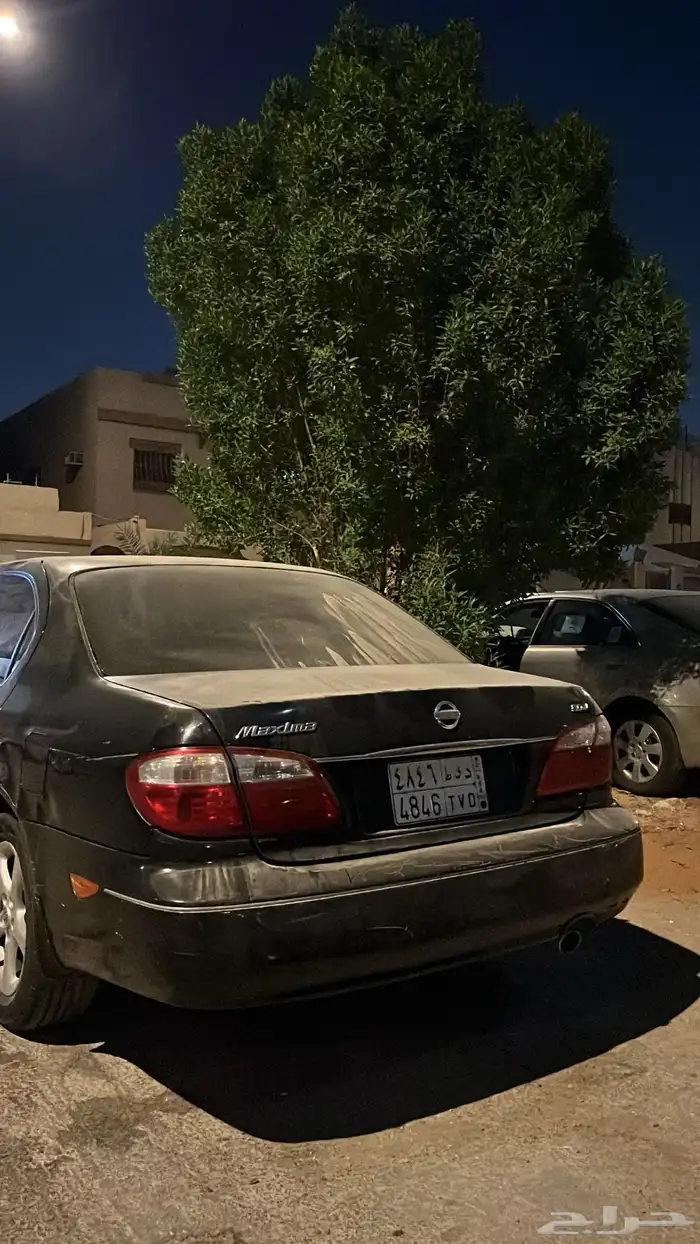 مكسيما 2006 بودي بلد 24