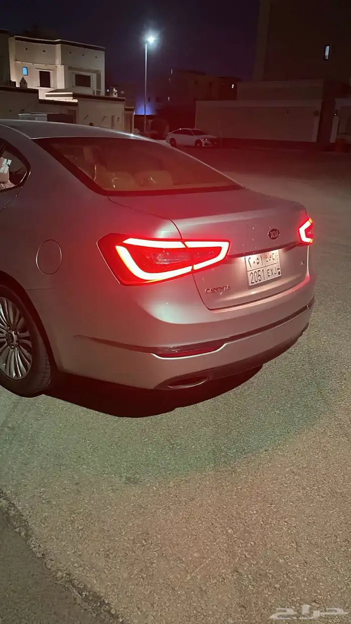 كادينزا 2015 5