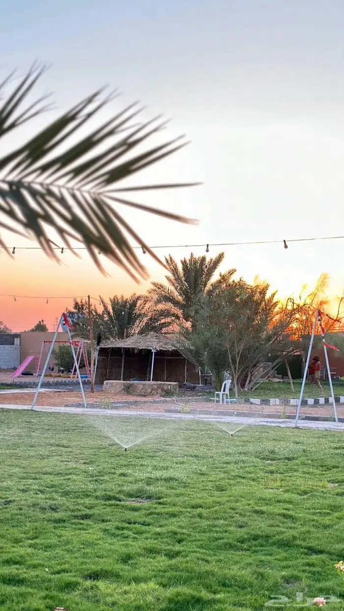 مخيم مع شاليه كبير للاجار دمج خلف حرس الحدود أسعار حلوه مناس 1