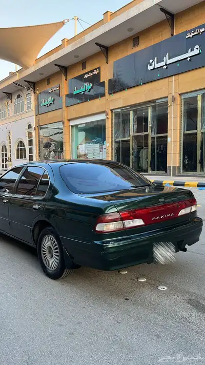 مكسيما 1998 index