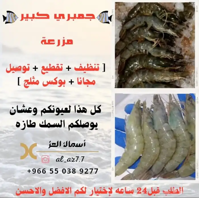 سمك طازه 8