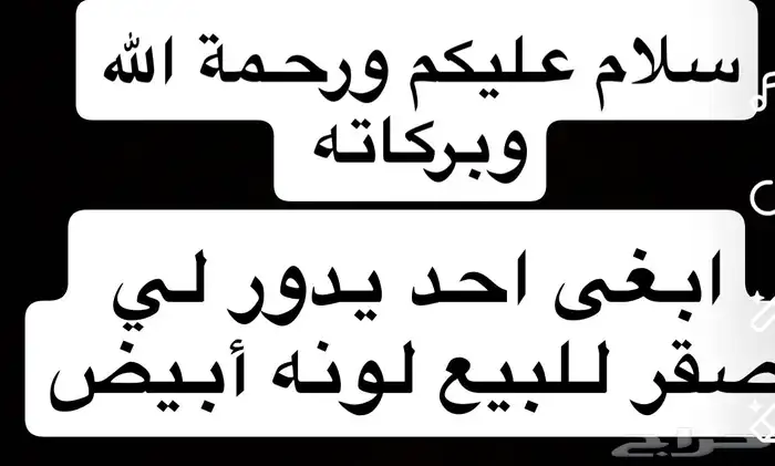 ابي احد يدور لي صقر 0