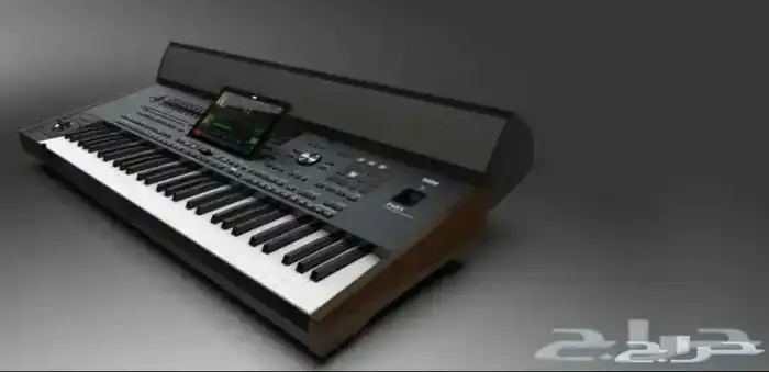 سماعة كورج كروج KORG PaAS MK2 0