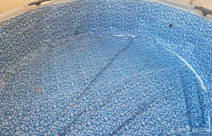 مسبح بست وي فائق المتانه 2