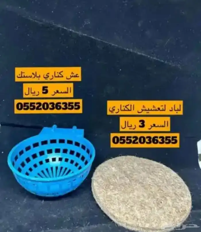 بياضات كناري_ روز _طيور الحب _بادجي _كروان بياضه درة 2