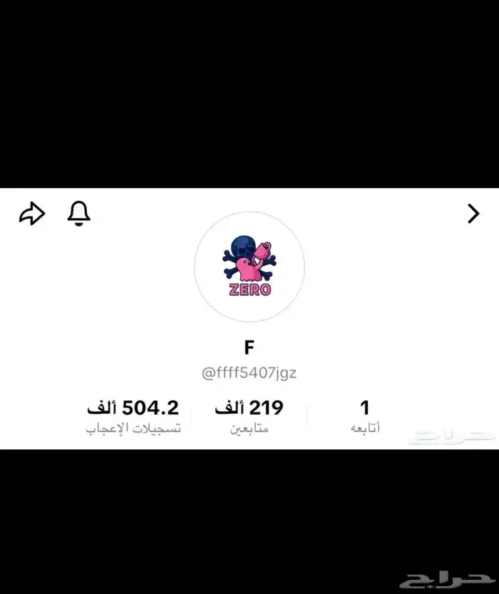 حسابات تيك عرب 2