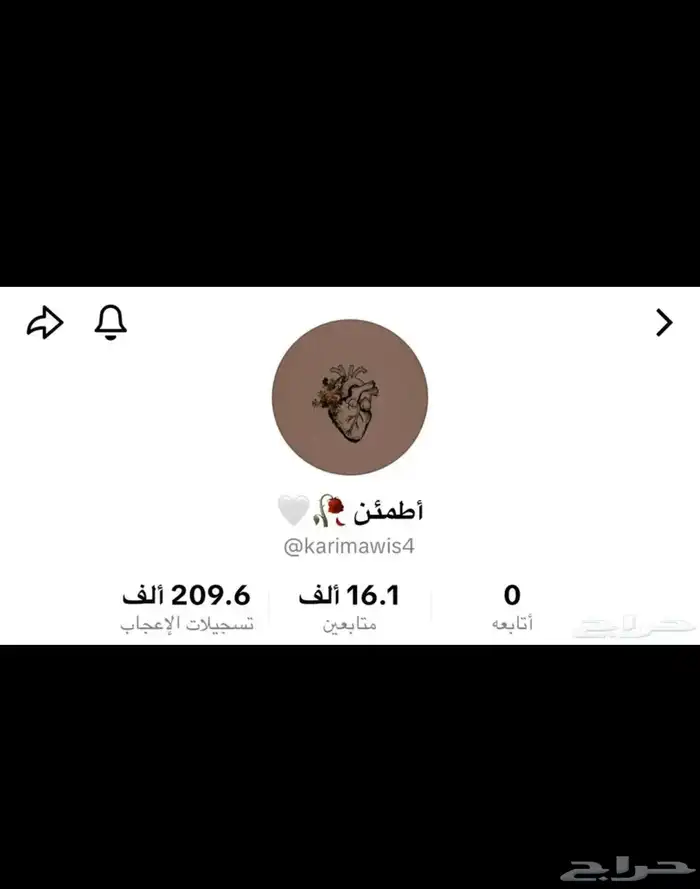 حسابات تيك عرب 5