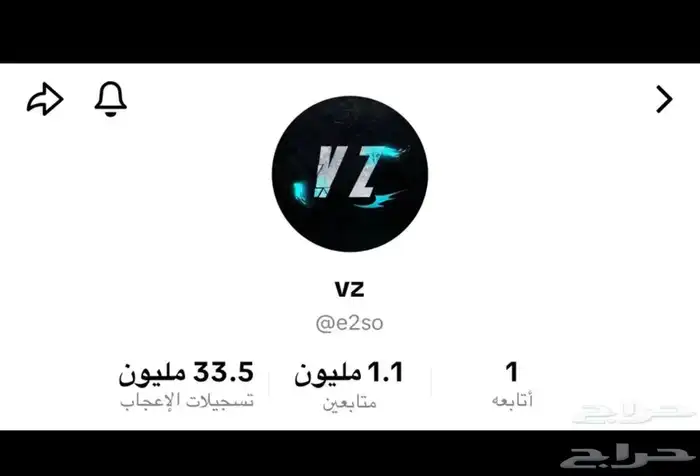 حسابات تيك توك قويه 0