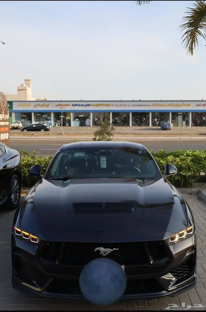 موستنج 2024 1