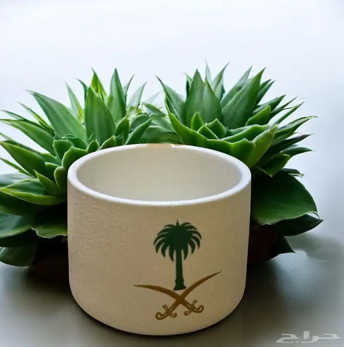 توزيعات كوب اليوم الوطني 0