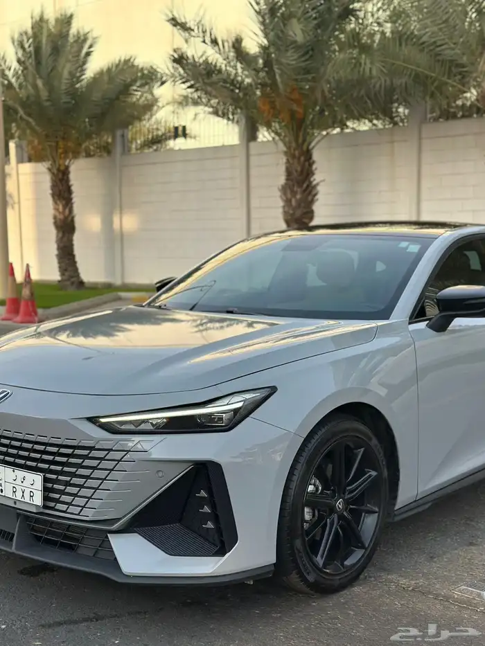 شانجان يوني في 2024 4