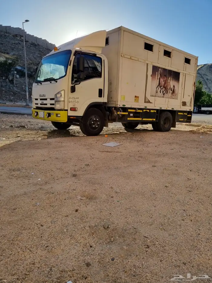 دينه نقل خيل 0