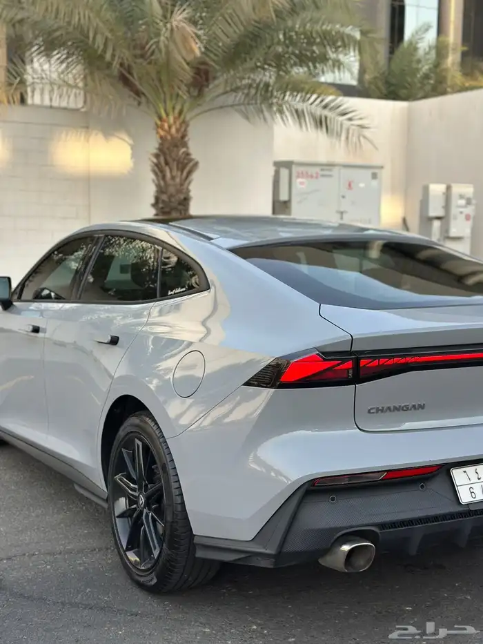 شانجان يوني في 2024 12