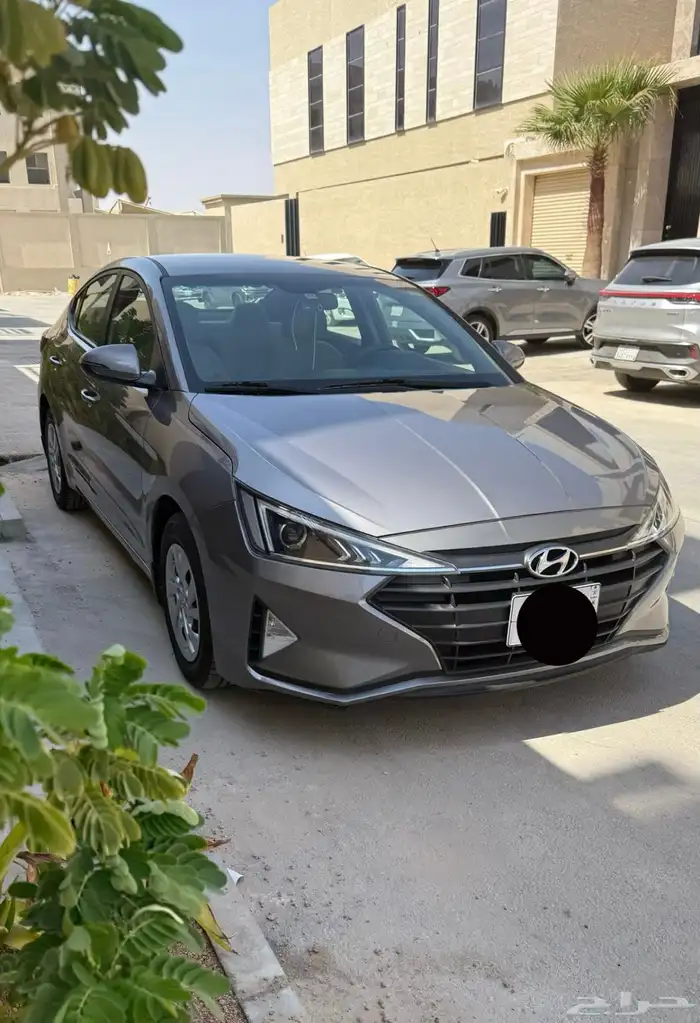 النترا 2019 3