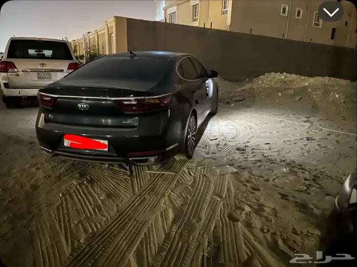 كدنزا 2018 8
